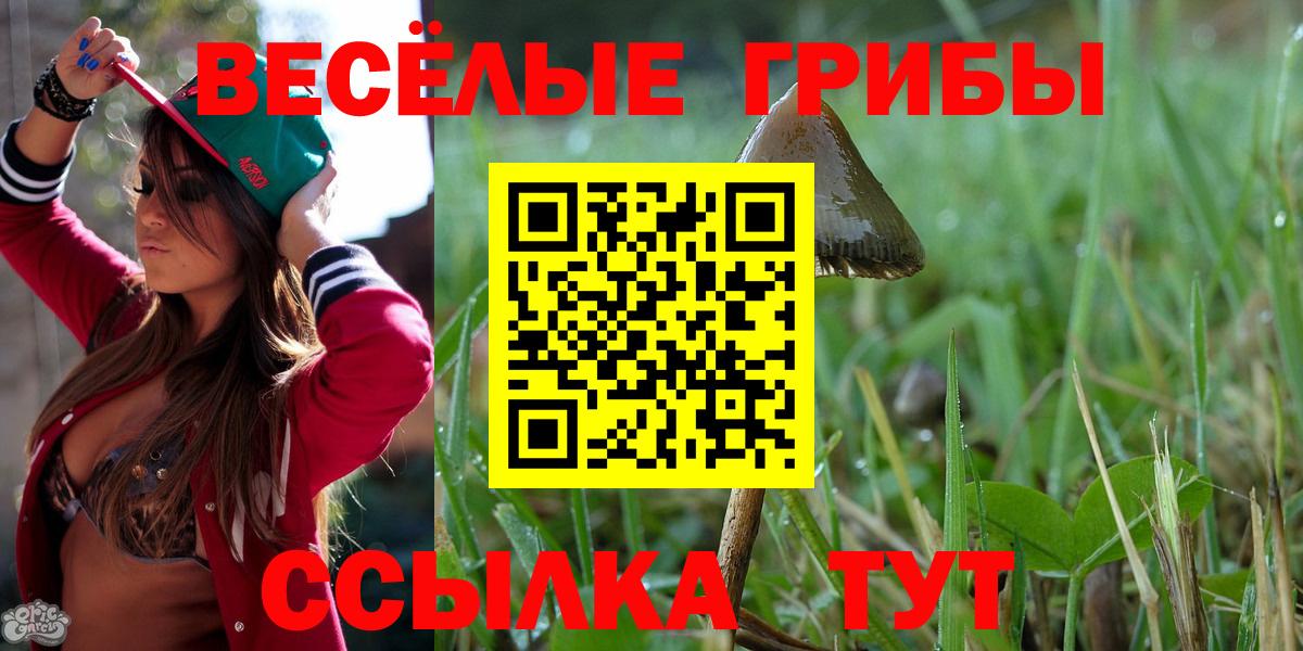 Нефтеюганск  Псилоцибиновые грибы Psilocybine cubensis  цены   Вход с VPN 